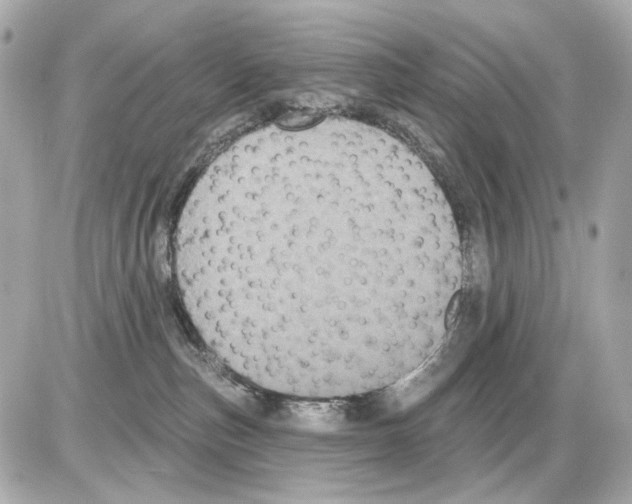 X0000085320187200704092358