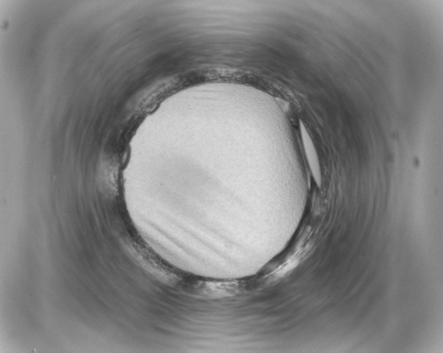 X0000085320188200704092358