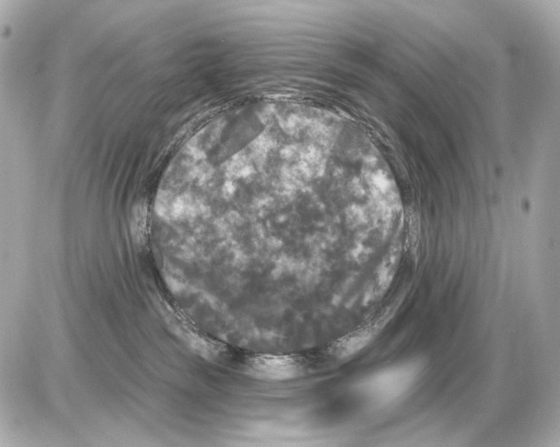 X0000085320189200704092358