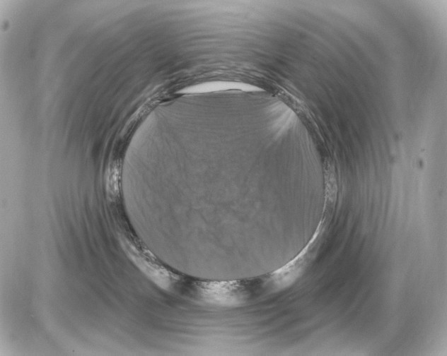 X0000085320191200704092358