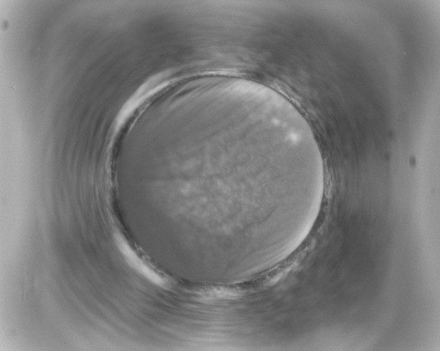 X0000085320198200704092357