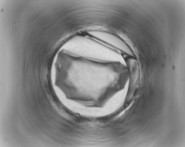 X0000085320201200704092357