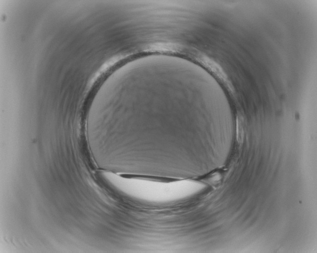 X0000085320204200704092357