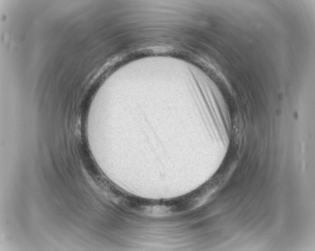 X0000085320212200704092357