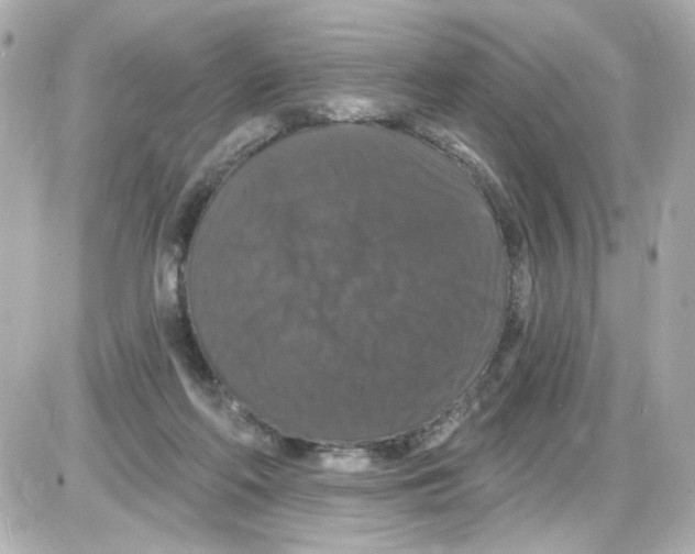 X0000085320214200704092357