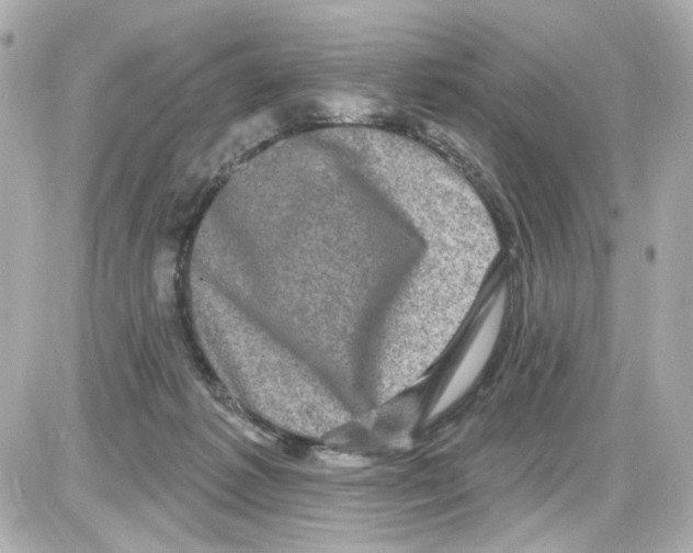 X0000085320221200704092357