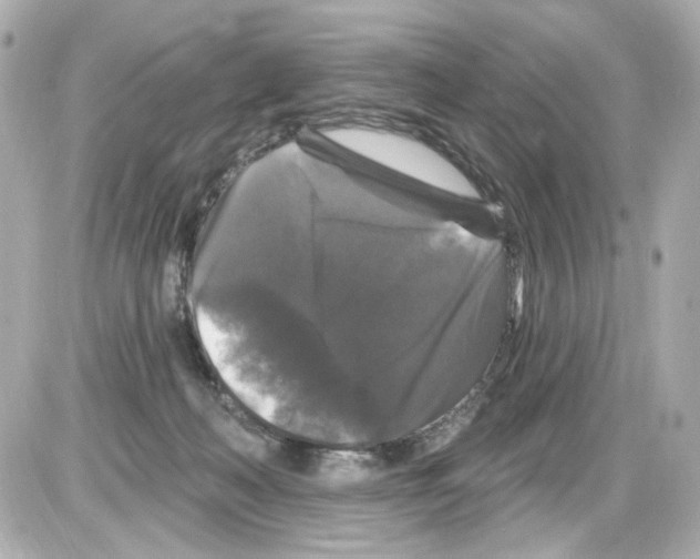 X0000085320222200704092357