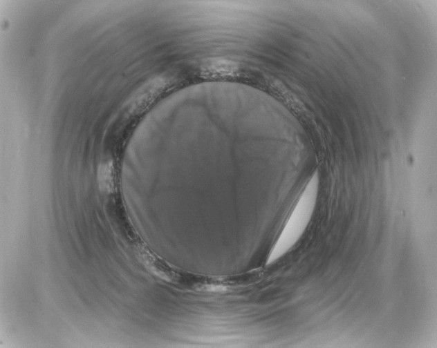 X0000085320224200704092357