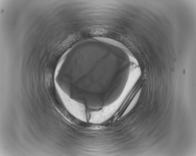 X0000085320227200704092357