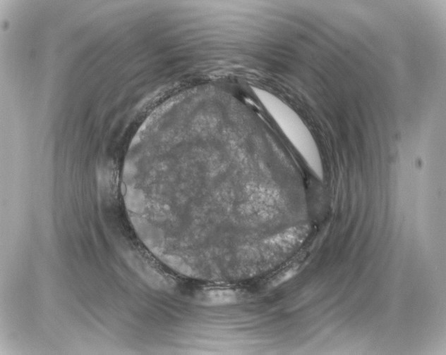 X0000085320228200704092357