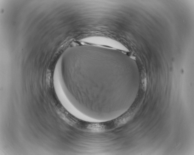 X0000085320231200704092357