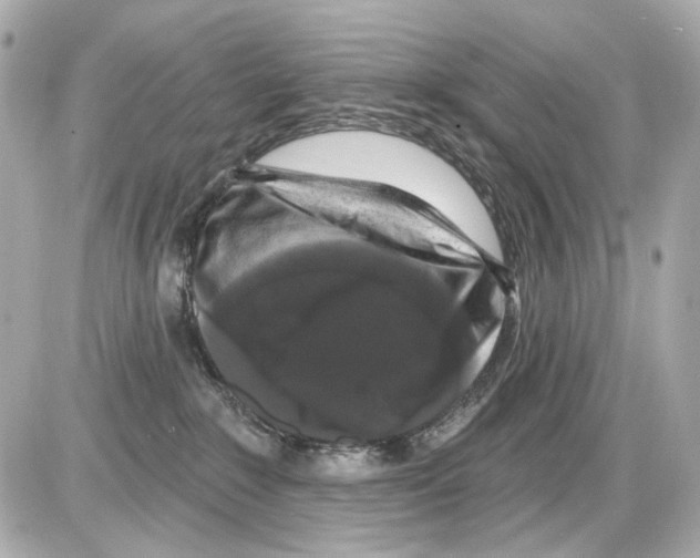 X0000085320235200704092356