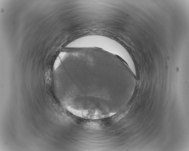 X0000085320236200704092356