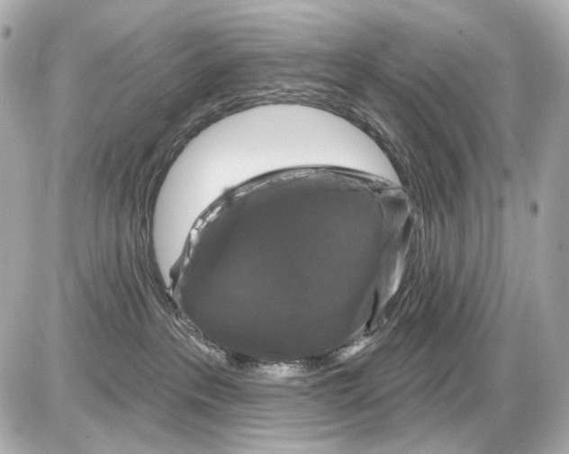X0000085320237200704092356