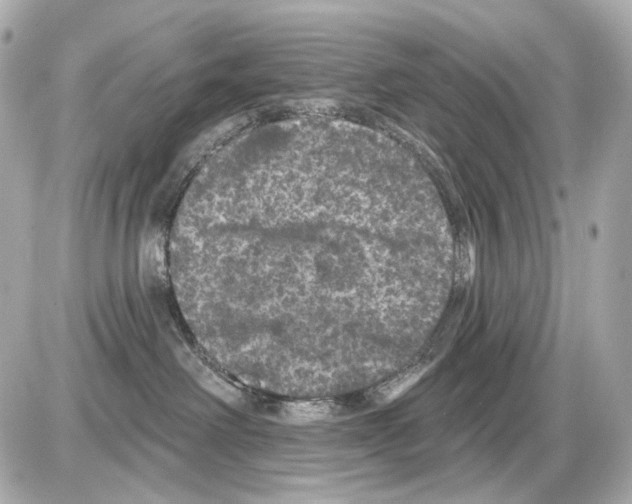 X0000085320238200704092356