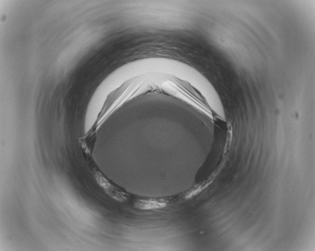 X0000085320239200704092356