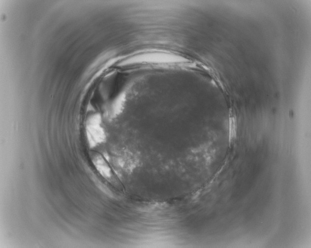 X0000085320243200704092356
