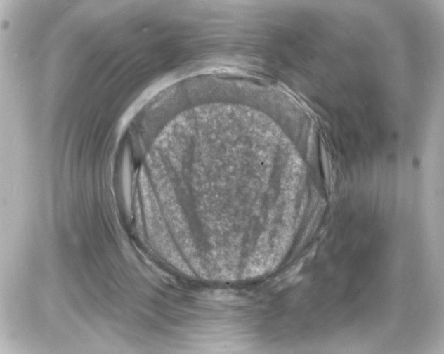 X0000085320244200704092356