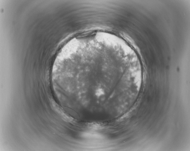 X0000085320249200704092356