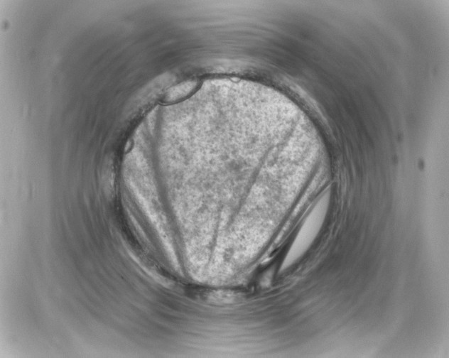 X0000085320261200704092356