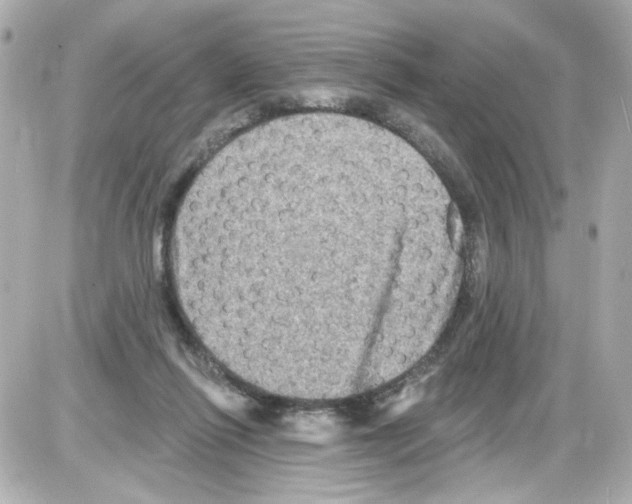 X0000085320262200704092356