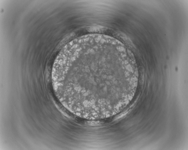 X0000085320273200704092356