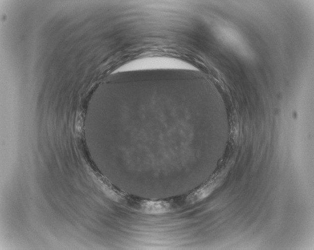 X0000085320277200704092356