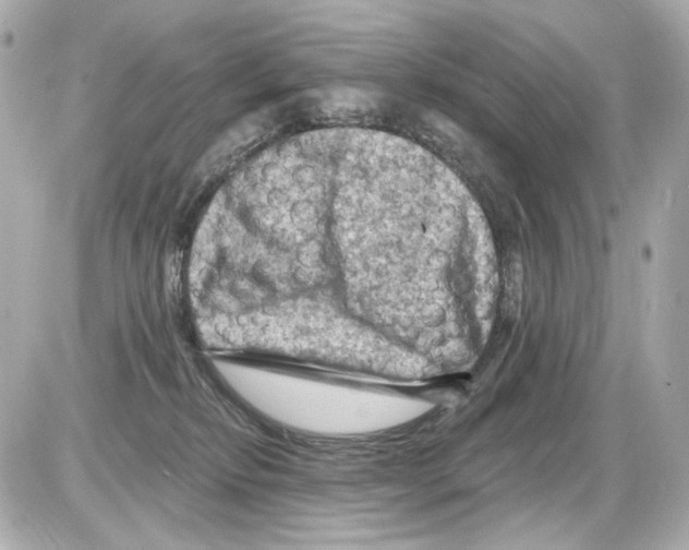 X0000085320278200704092356