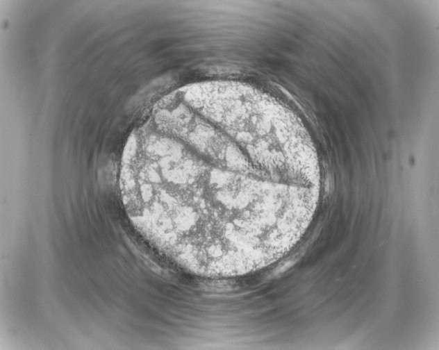 X0000085320281200704092356