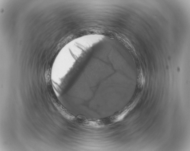 X0000085320285200704092356