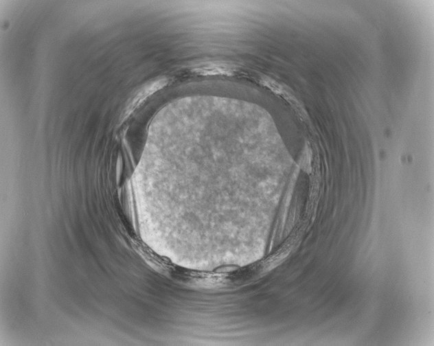 X0000085320288200704092356