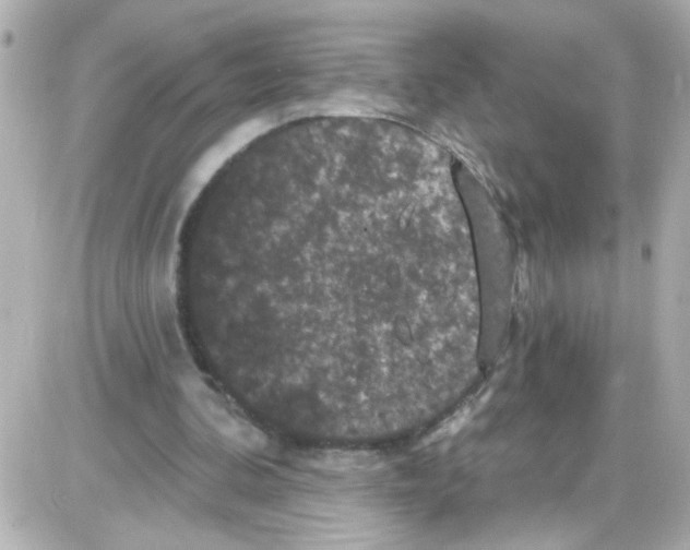 X0000085320292200704092356
