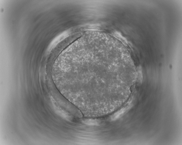 X0000085320293200704092356