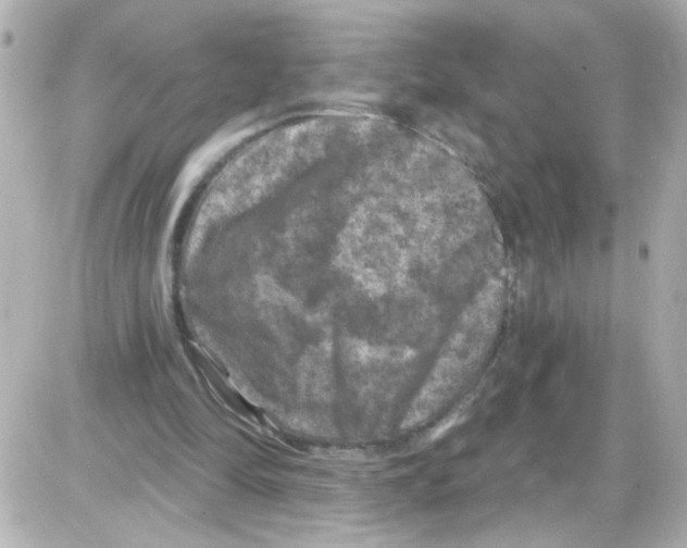 X0000085320294200704092356