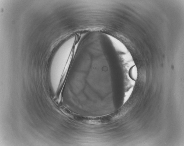 X0000085320303200704092355