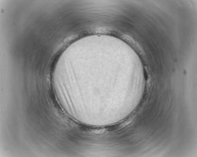X0000085320306200704092355