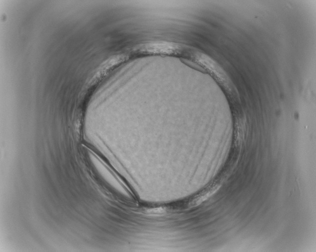 X0000085320309200704092355