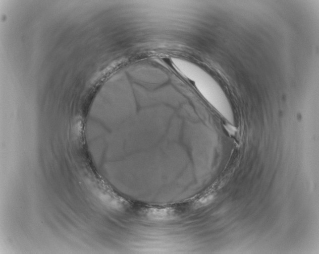 X0000085320314200704092355