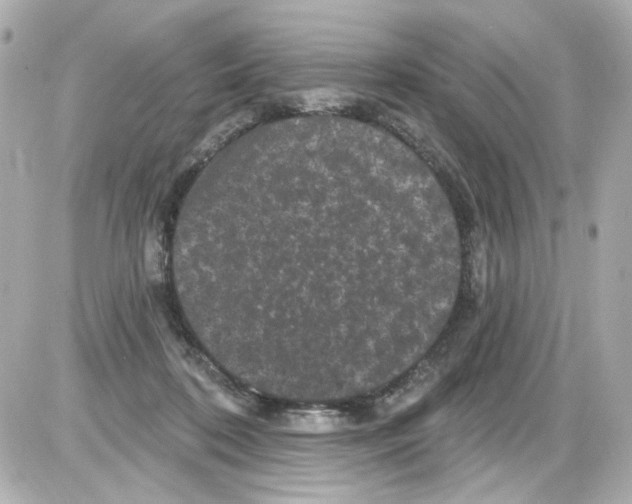 X0000085320316200704092355