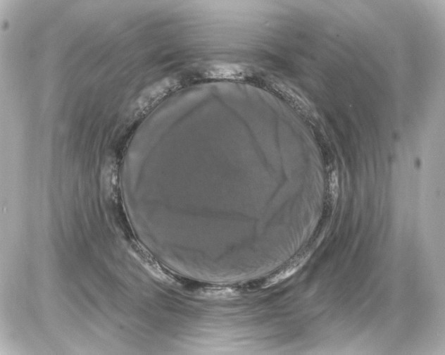 X0000085320322200704092355