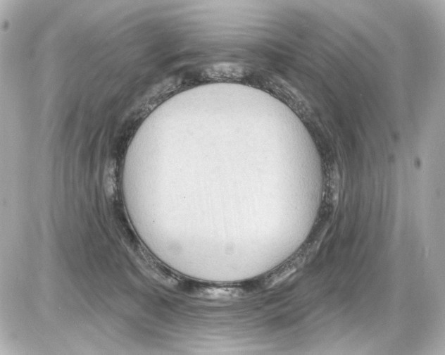 X0000085320323200704092355
