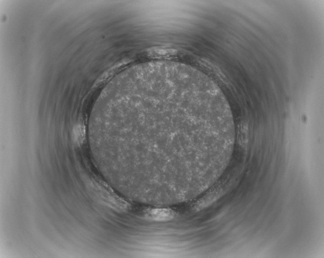 X0000085320324200704092355