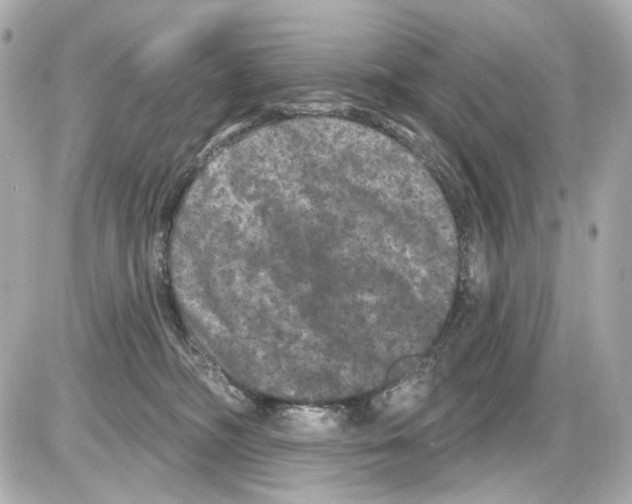 X0000085320326200704092355