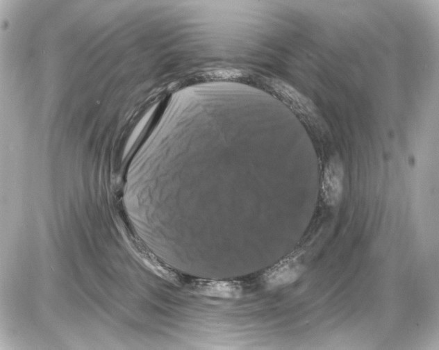 X0000085320330200704092355