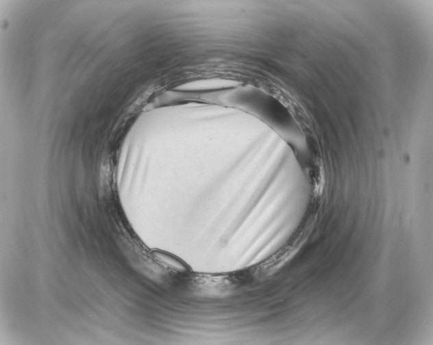 X0000085320333200704092355