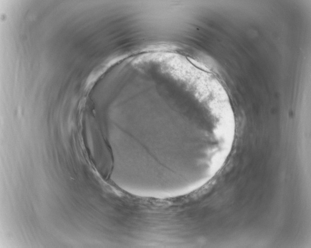 X0000085320337200704092354