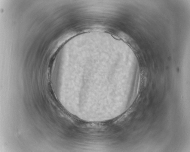 X0000085320338200704092354