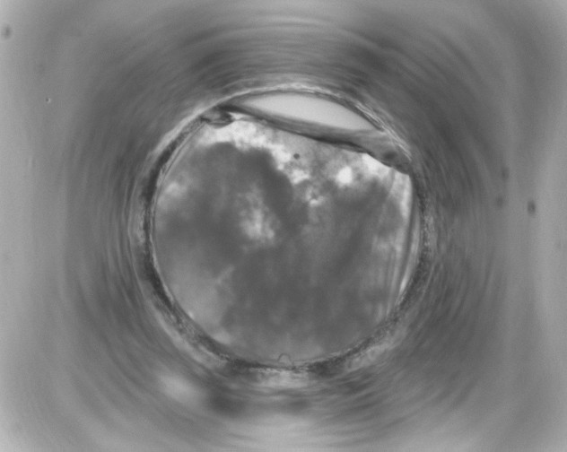 X0000085320347200704092354