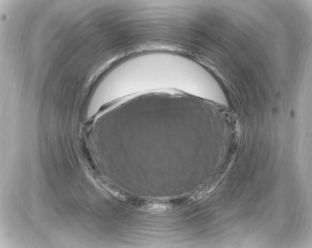 X0000085320352200704092354