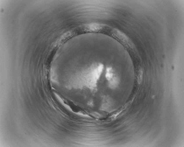 X0000085320366200704092354